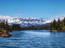The image depicts a tranquil landscape featuring a wide, calm body of water foregrounded by lush forested shores. The water is a deep blue, with gentle ripples visible on the surface. To either side, the trees are dense and primarily evergreen, with some areas of moss-covered rocks near the shoreline. Beyond the forested areas stand snow-capped mountains, their peaks punctuating a clear, vivid blue sky. The mountains are majestic and expansive, providing a stark contrast to the lush green of the forests below. A few soft clouds are scattered across the sky, adding texture and depth to the scene.