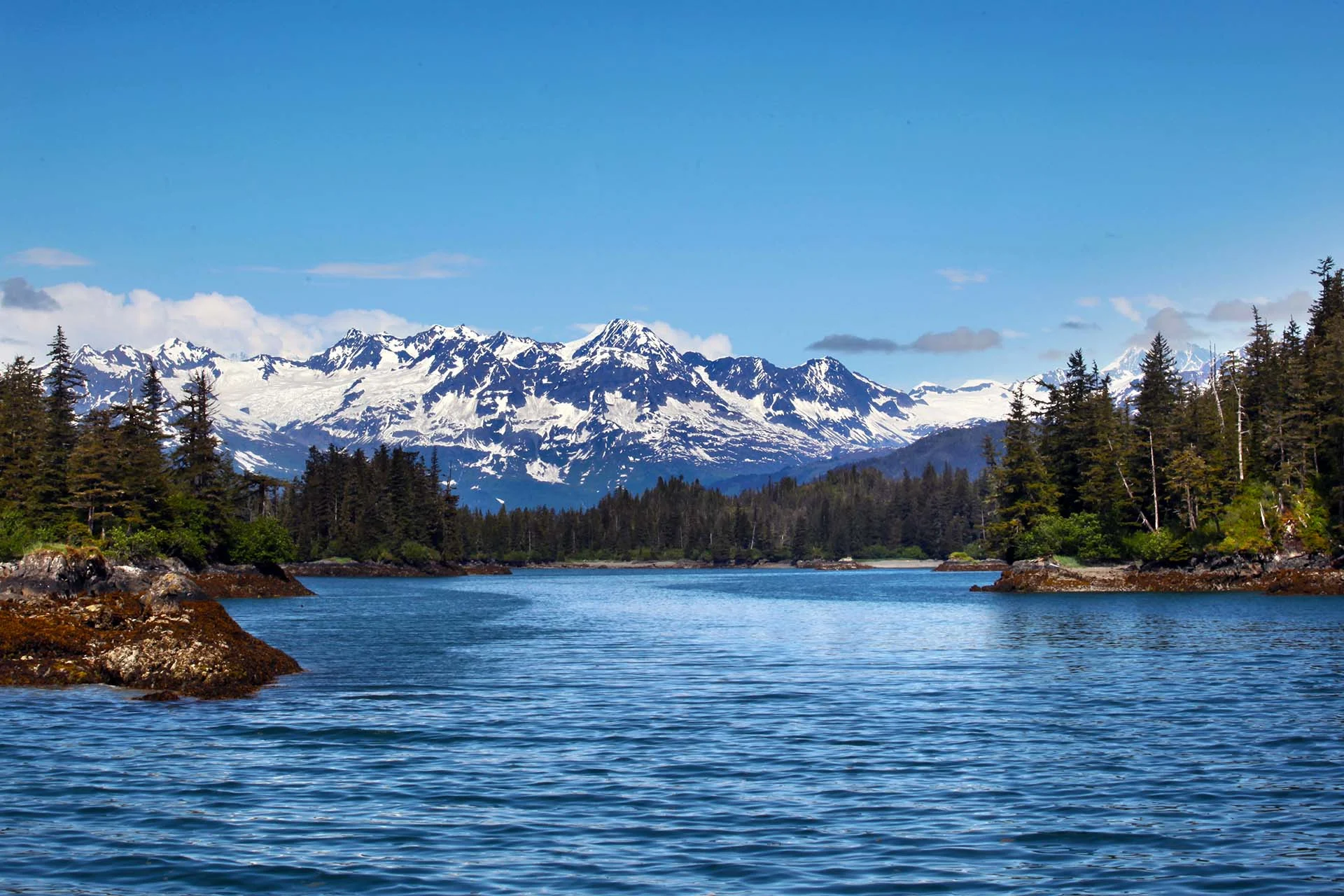 The image depicts a tranquil landscape featuring a wide, calm body of water foregrounded by lush forested shores. The water is a deep blue, with gentle ripples visible on the surface. To either side, the trees are dense and primarily evergreen, with some areas of moss-covered rocks near the shoreline. Beyond the forested areas stand snow-capped mountains, their peaks punctuating a clear, vivid blue sky. The mountains are majestic and expansive, providing a stark contrast to the lush green of the forests below. A few soft clouds are scattered across the sky, adding texture and depth to the scene.