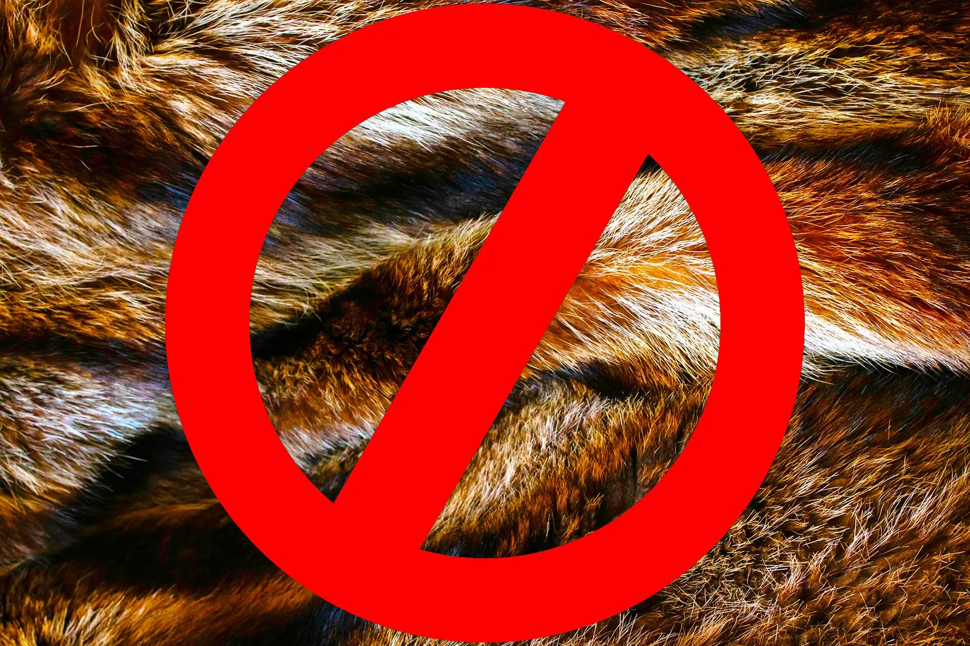 The image features a detailed view of animal fur with a mix of brown and golden hues, showcasing varying lengths and textures of the fur. Overlaying the fur is a bold red prohibition symbol, which consists of a circle with a diagonal line striking through it. The symbol occupies a prominent position in the foreground, clearly contrasting with the textured and multicolored fur background.