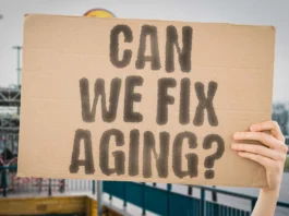 The image features a hand holding up a rectangular piece of cardboard in the foreground. The cardboard is light brown and occupies the majority of the image space. It has bold, black, hand-painted letters that read, "CAN WE FIX AGING?" The background is blurred, depicting an outdoor setting with structural elements and a glimpse of a street, but it remains out of focus to keep the attention on the sign.