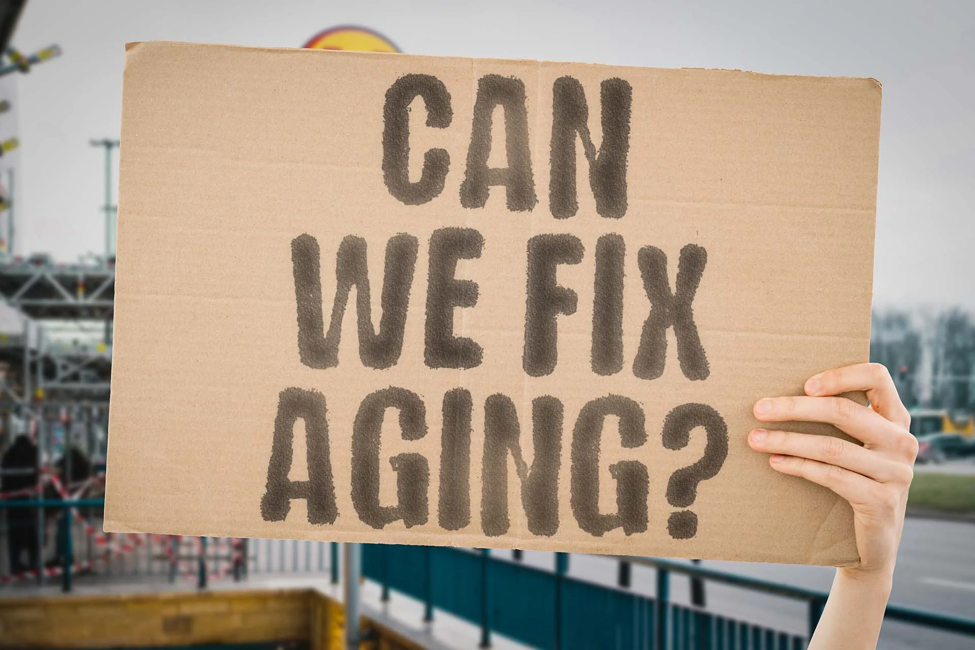 The image features a hand holding up a rectangular piece of cardboard in the foreground. The cardboard is light brown and occupies the majority of the image space. It has bold, black, hand-painted letters that read, "CAN WE FIX AGING?" The background is blurred, depicting an outdoor setting with structural elements and a glimpse of a street, but it remains out of focus to keep the attention on the sign.